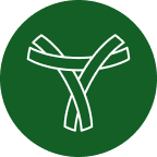 mobile app