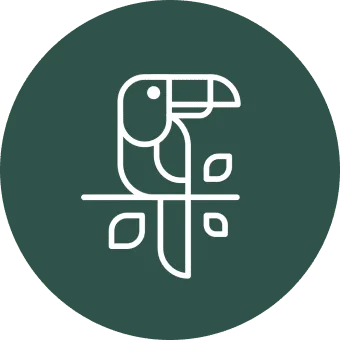 Palayan Paradise travel website logo